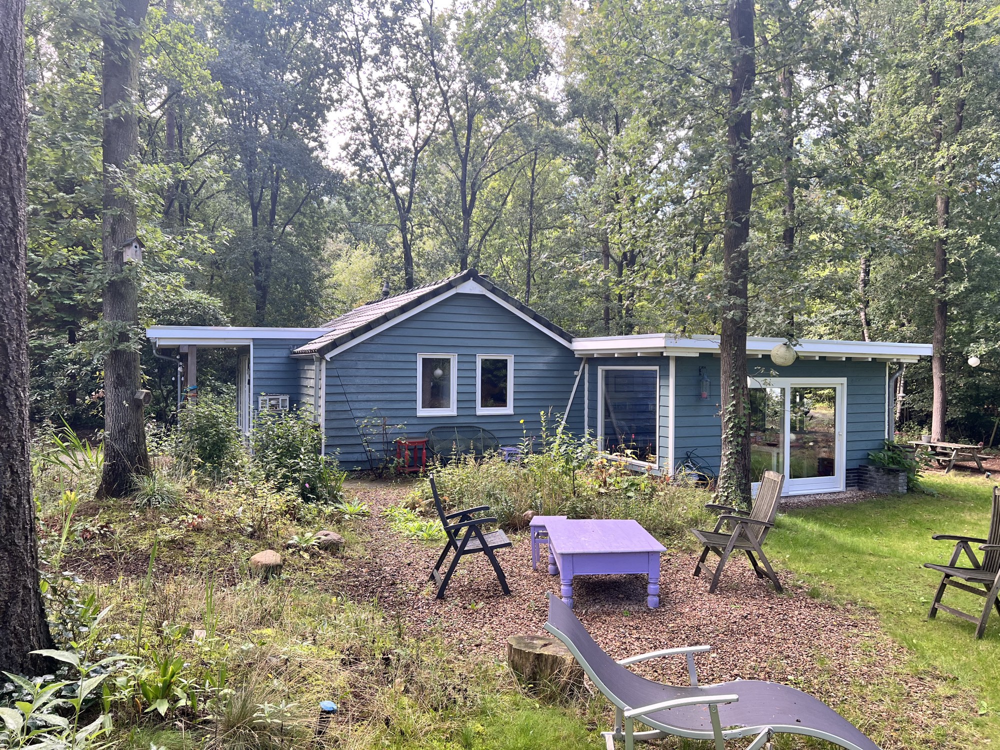 De Putter — blauw boshuisje in Ommen