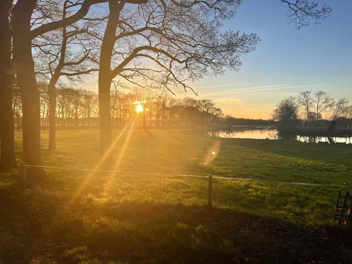 Voorjaar in het bos bij het Junner Koeland
