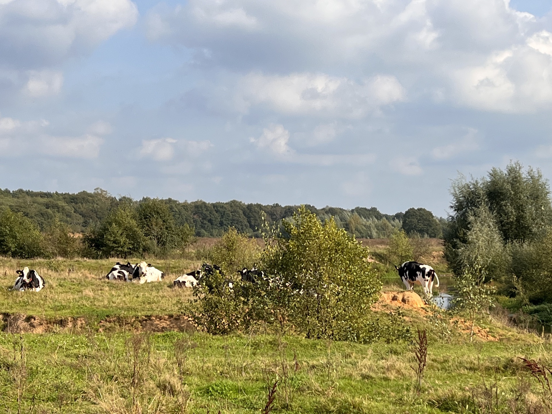 De omgeving van het boshuis