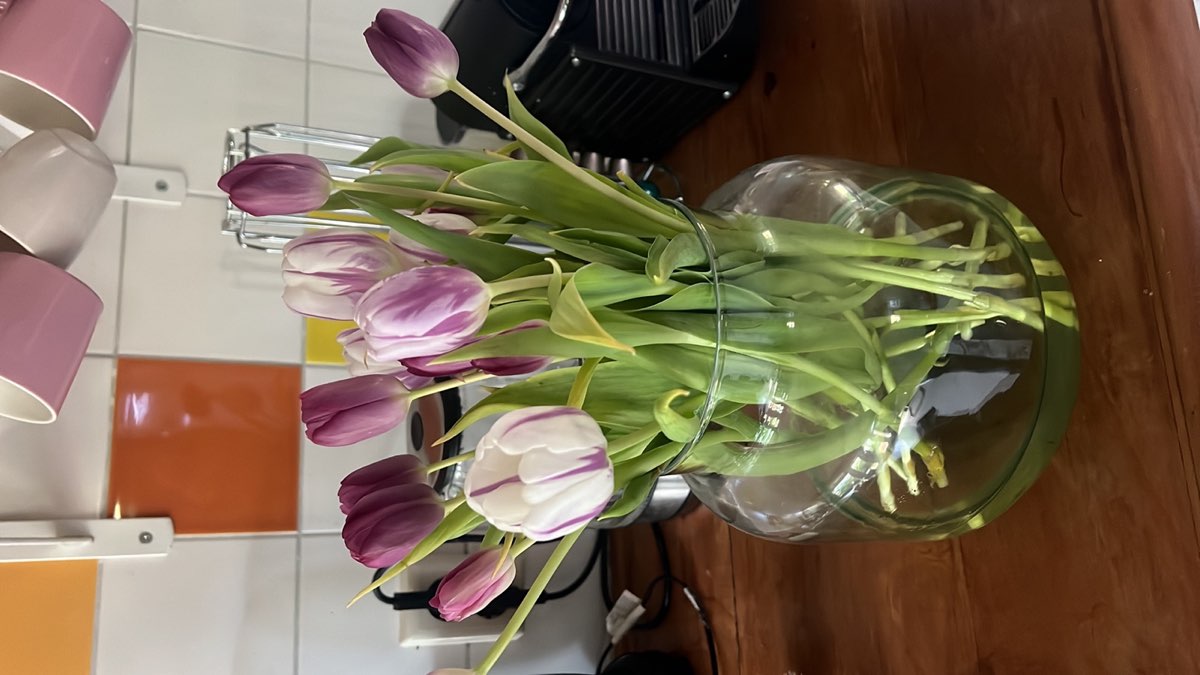 Zelfgeplukte tulpen uit de tuin van Pluck Elke Dag